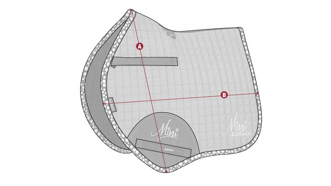 Mini-Pad Size Guide2 copy